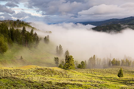 foggy mountain during day time thumbnail