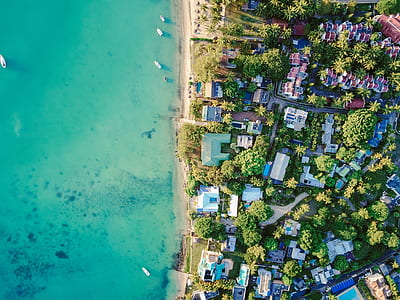 aerial photography of house surrounded by trees near ocean thumbnail