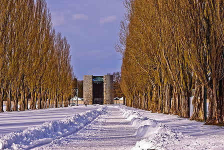 pathway covered with snow thumbnail
