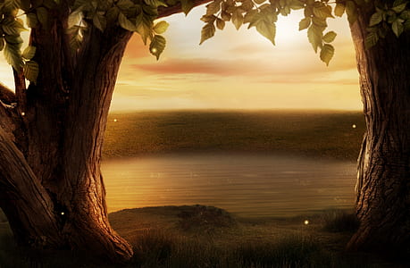 trees beside body of water during golden hour thumbnail