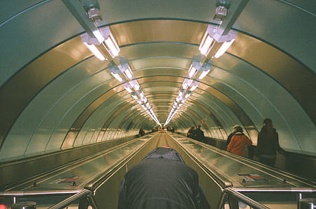 People Standing on Electronic Pathways Inside Building thumbnail