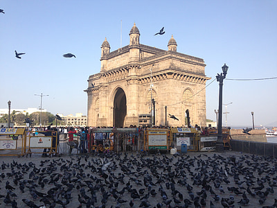 flock of multicolored pigeon near body of water thumbnail