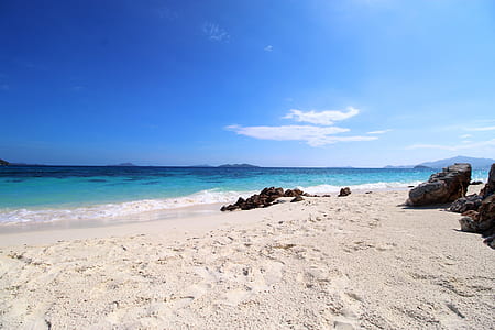 body of water and seashore thumbnail