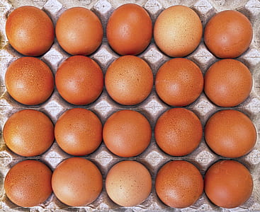 tray of organic eggs thumbnail