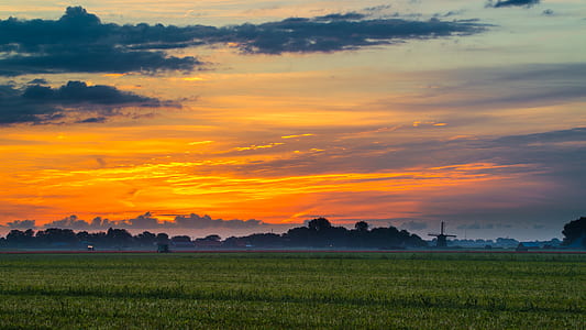 green grass field under partially cloudy skies during golden hour thumbnail