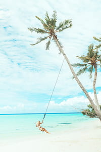 woman sitting on hammock hanged on palm tree near beach thumbnail