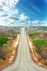 road in between plants with clouds in the background thumbnail