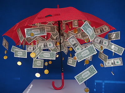 1 U.S. dollar banknote lot and red umbrella illustration thumbnail