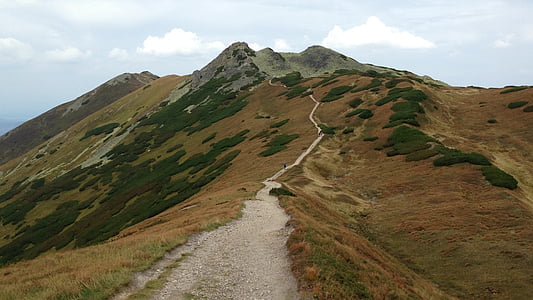 road on hill thumbnail
