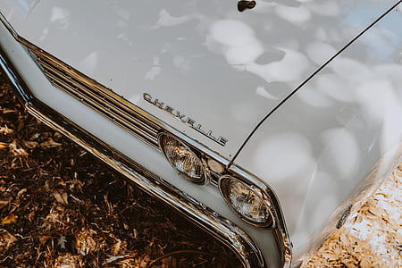 white Chevelle car on brown field thumbnail