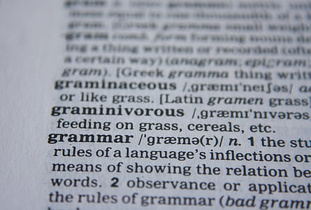 grammar text book page thumbnail