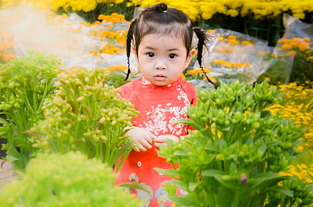 baby girl standing behind green grass thumbnail