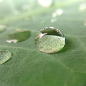 close up photo of water drops thumbnail