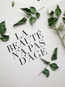 LA Beaute N'A Pas D'Age paper with green ovate leaves thumbnail