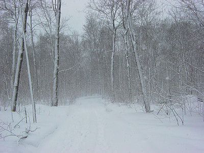 snow-covered pathway thumbnail