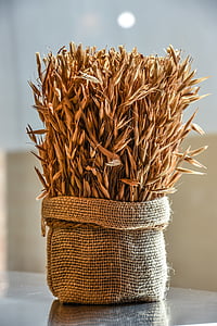 bag of paddy thumbnail