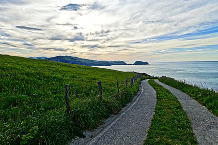 green grass thumbnail