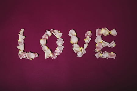 Love Written In Rose Pedals Photo thumbnail