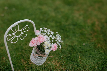 shallow focus photography of red and white flowers thumbnail