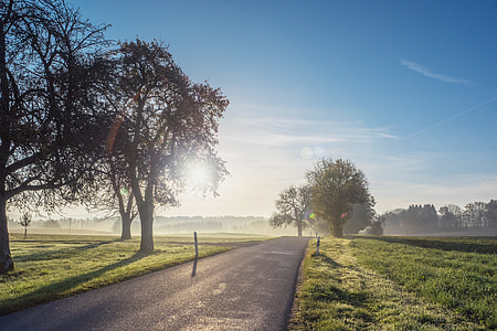 gray concrete road with green grass field beside at daytime thumbnail