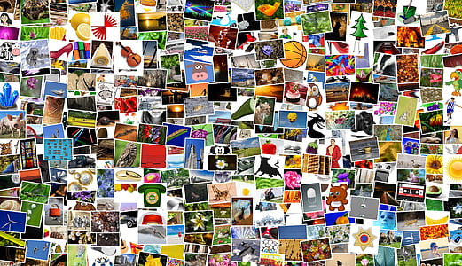 assorted photo photo collage thumbnail