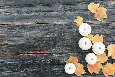 Woodgrain With Pumpkins Photo thumbnail