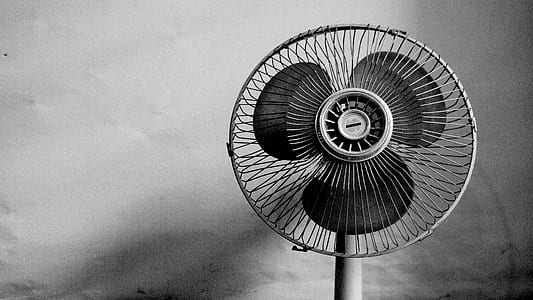 white fan thumbnail