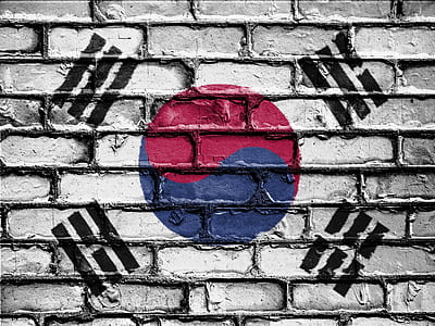 flag of South Korea thumbnail