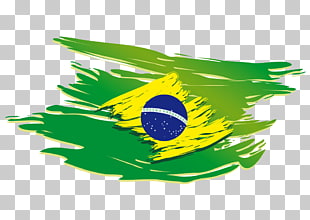 Rio de Janeiro Ultimate Fighting Championship T-shirt Logo Font, Flag of Brazil, Brazil flag painting PNG clipart