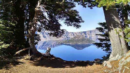 calm body of water and trees thumbnail
