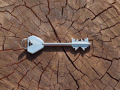 silver stainless steel key on brown tree log during day time thumbnail