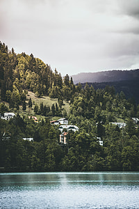 houses in mountain foot surrounded by trees near body of water thumbnail