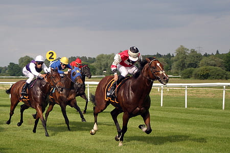 horse racing during daytime thumbnail