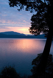 silhouette of tree near body of calm water during golden hour thumbnail