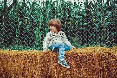 toddler wearing white sweater and blue jeans sitting on brown hay at daytime thumbnail
