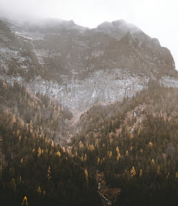 Bavarian nature thumbnail
