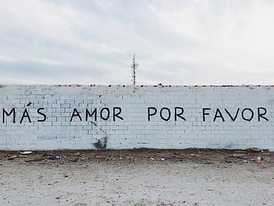 Mas Amor Por Favor wall vandalism at daytime thumbnail