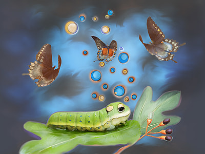 Spicebush Swallowtail, Caterpillar thumbnail