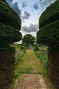 green grass in garden with topiaries thumbnail