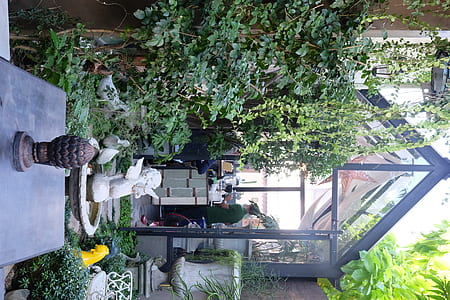 people on green house thumbnail