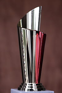 grey trophy on surface thumbnail