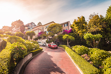 Cars Descending Lombard Street in San Francisco, California thumbnail