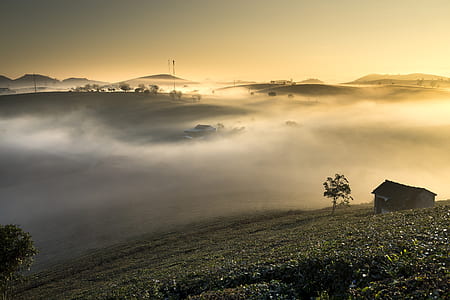 top view photo of wooden house with mist at daytime thumbnail