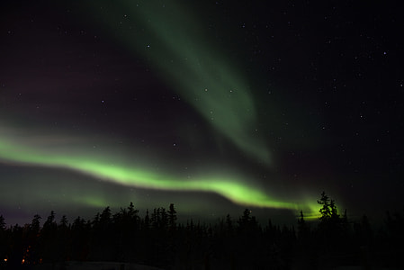 northern lights above trees during nighttime thumbnail
