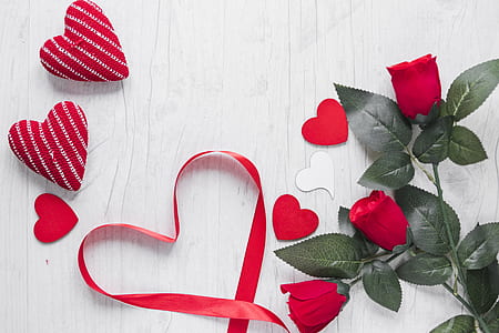 red roses near red ribbon thumbnail
