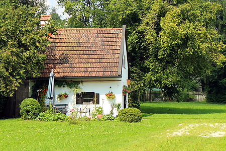 white concrete house near tree thumbnail