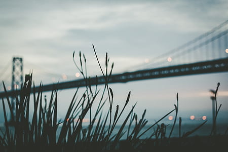 Brooklyn black bridge during daytime thumbnail