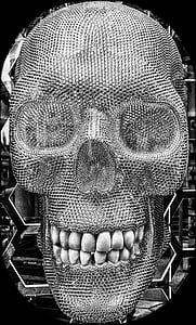 silver skull illustration thumbnail