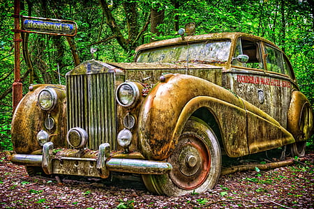 brown Mercedes-Benz Beetle car surrounded with trees thumbnail