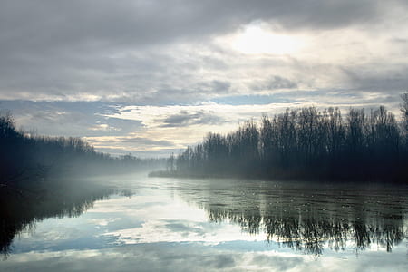 lake view surround by trees thumbnail